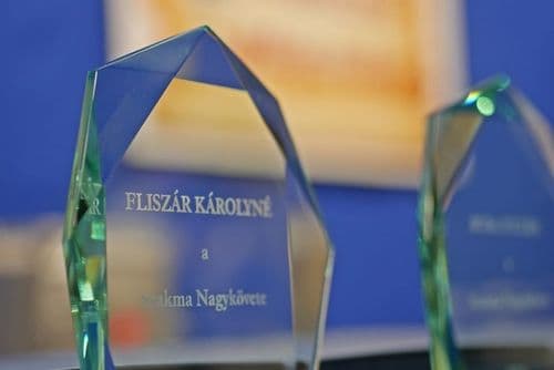 Fliszár Károlyné a Szakma Nagykövete.