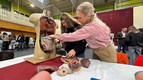 Az emberi test részei.